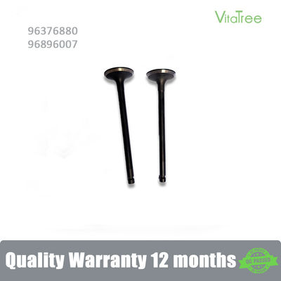 96376880 Chevrolet NUBIRA Estate 1.6 Aveo5 1.6L için egzoz motoru valfi