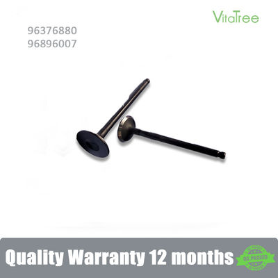 96376880 Chevrolet NUBIRA Estate 1.6 Aveo5 1.6L için egzoz motoru valfi