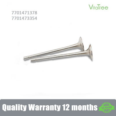 7701471378 13201-00QAA Inlet Valve Untuk Renault CLIO Grandtour