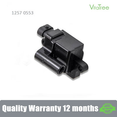 12570553 12558693 H6T55171ZC Otomobil Parçaları Chevrolet TAHOE B2W için Çakma Bobini 5.3