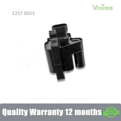 12570553 12558693 H6T55171ZC Otomobil Parçaları Chevrolet TAHOE B2W için Çakma Bobini 5.3