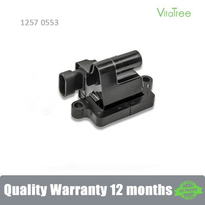 12570553 12558693 H6T55171ZC Otomobil Parçaları Chevrolet TAHOE B2W için Çakma Bobini 5.3
