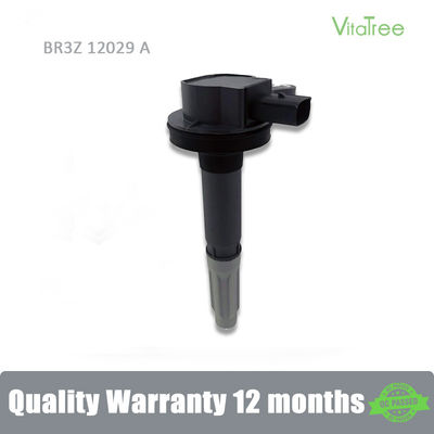 BR3Z12029A BR3E-12A375AA 5052875 Ford USA MUSTANG Coupe 5.0 V8 için Çakma Bobini