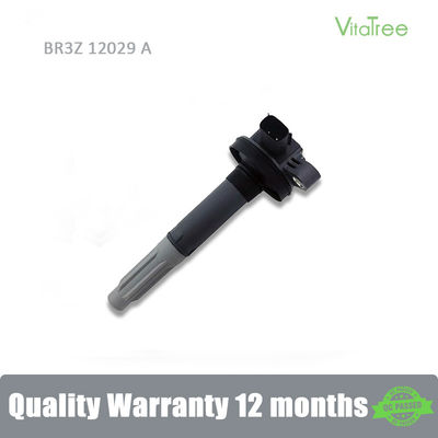 BR3Z12029A BR3E-12A375AA 5052875 Ford USA MUSTANG Coupe 5.0 V8 için Çakma Bobini