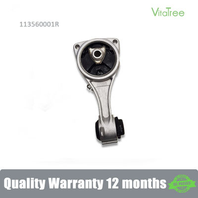 113560001R Ống treo ổn định xe cho Renault LAGUNA III (BTO/1)