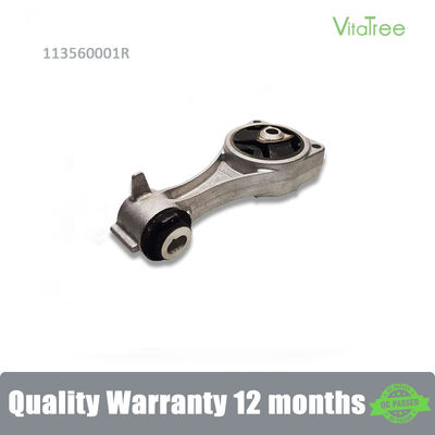 113560001R Ống treo ổn định xe cho Renault LAGUNA III (BTO/1)
