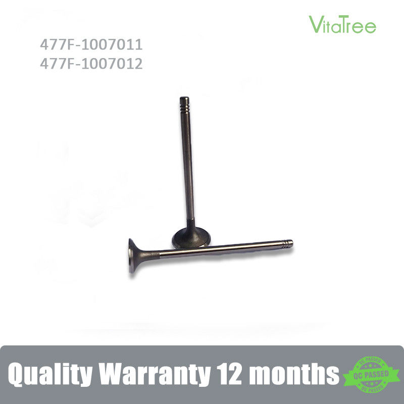 477F-1007011/477F-1007012 Chery Tiggo 2/3x DR3 D4G15B Motoru için Giriş/Egzoz Valfı