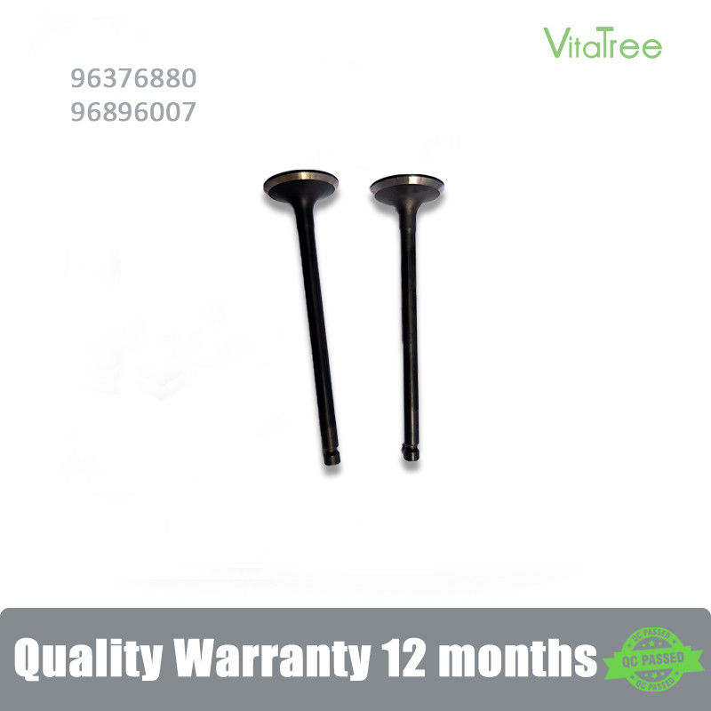 96376880 Chevrolet NUBIRA Estate 1.6 Aveo5 1.6L için egzoz motoru valfi