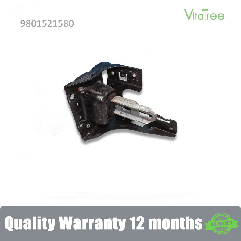 9801521580 1813.F0 Đèn động cơ cho PEUGEOT 207 CC (((WD)) 1.6 16V Turbo