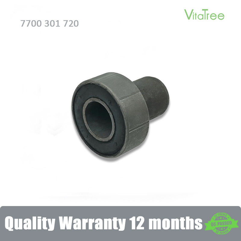 7700301720 7700301255 7700301721 Motormontage Voor Renault KANGOO Express (FC0/1) 1,5 dCi