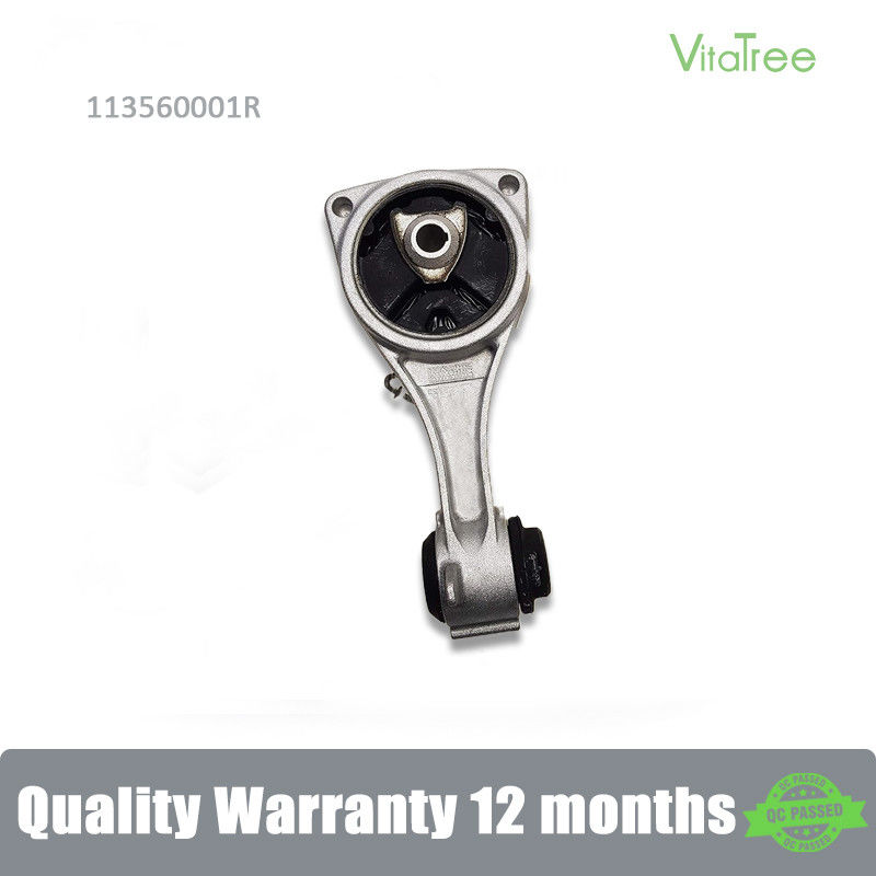113560001R Ống treo ổn định xe cho Renault LAGUNA III (BTO/1)